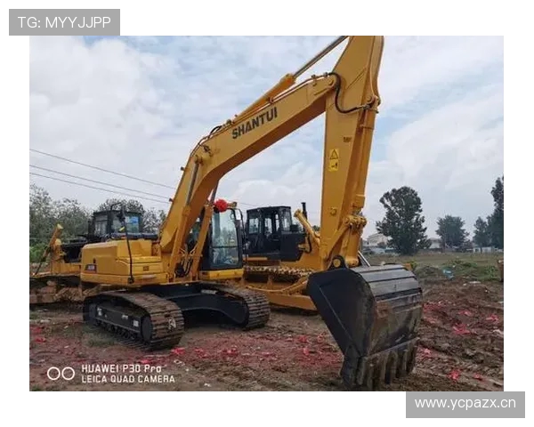 挖掘机保值率排行榜